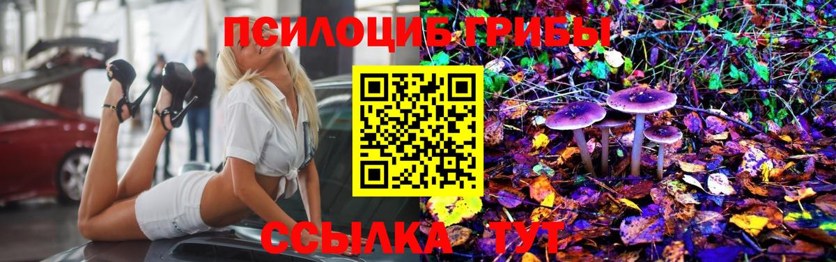 купить наркоту  Вход с VPN  Хасавюрт  Псилоцибиновые грибы Magic Shrooms 